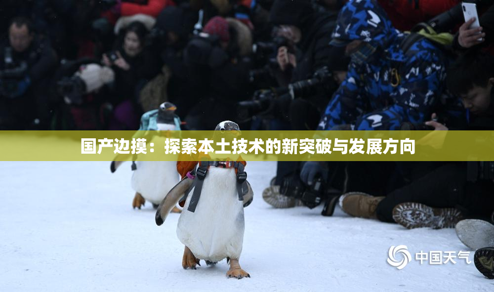 国产边摸：探索本土技术的新突破与发展方向