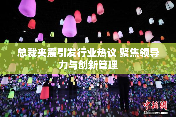 总裁夹震引发行业热议 聚焦领导力与创新管理