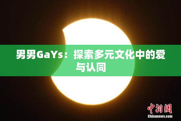 男男GaYs：探索多元文化中的爱与认同
