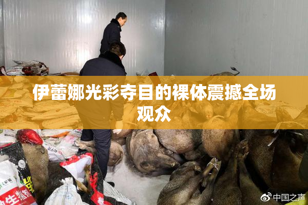 伊蕾娜光彩夺目的裸体震撼全场观众