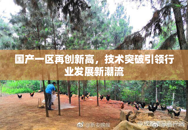 国产一区再创新高，技术突破引领行业发展新潮流