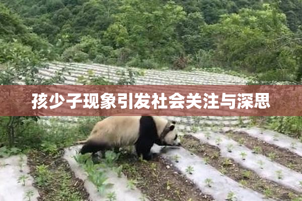 孩少子现象引发社会关注与深思