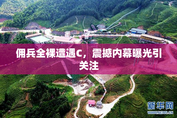 佣兵全裸遭遇C，震撼内幕曝光引关注