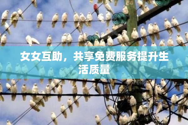 女女互助，共享免费服务提升生活质量