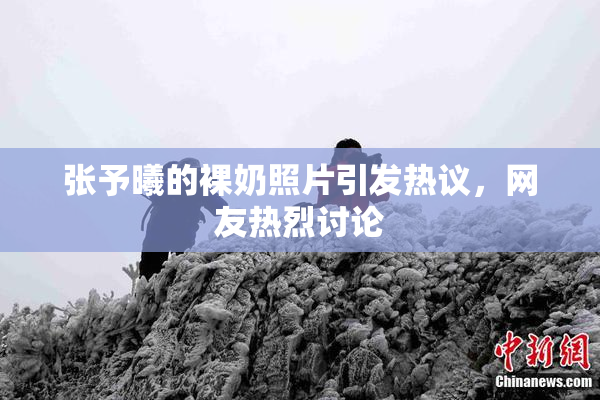 张予曦的裸奶照片引发热议，网友热烈讨论