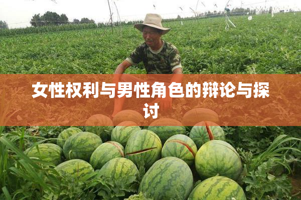 女性权利与男性角色的辩论与探讨