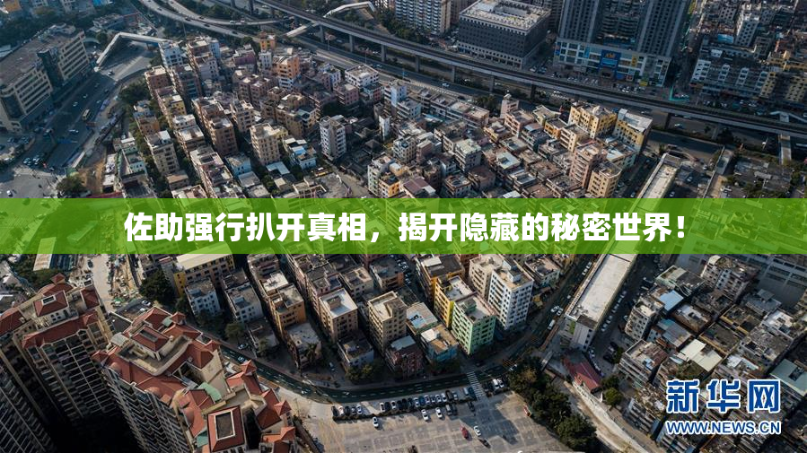 佐助强行扒开真相，揭开隐藏的秘密世界！
