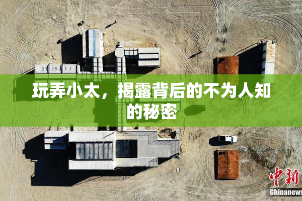玩弄小太，揭露背后的不为人知的秘密