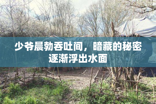 少爷晨勃吞吐间，暗藏的秘密逐渐浮出水面
