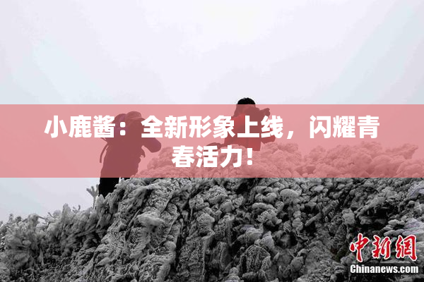 小鹿酱：全新形象上线，闪耀青春活力！