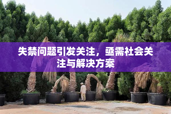 失禁问题引发关注，亟需社会关注与解决方案