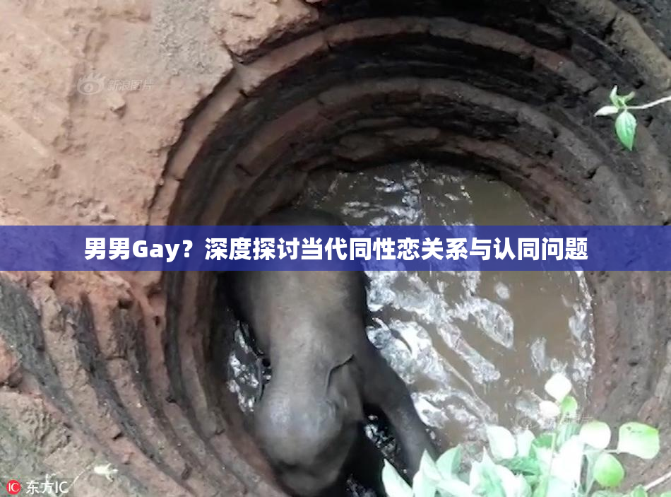 男男Gay？深度探讨当代同性恋关系与认同问题