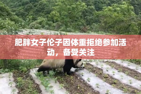 肥胖女子伦子因体重拒绝参加活动，备受关注