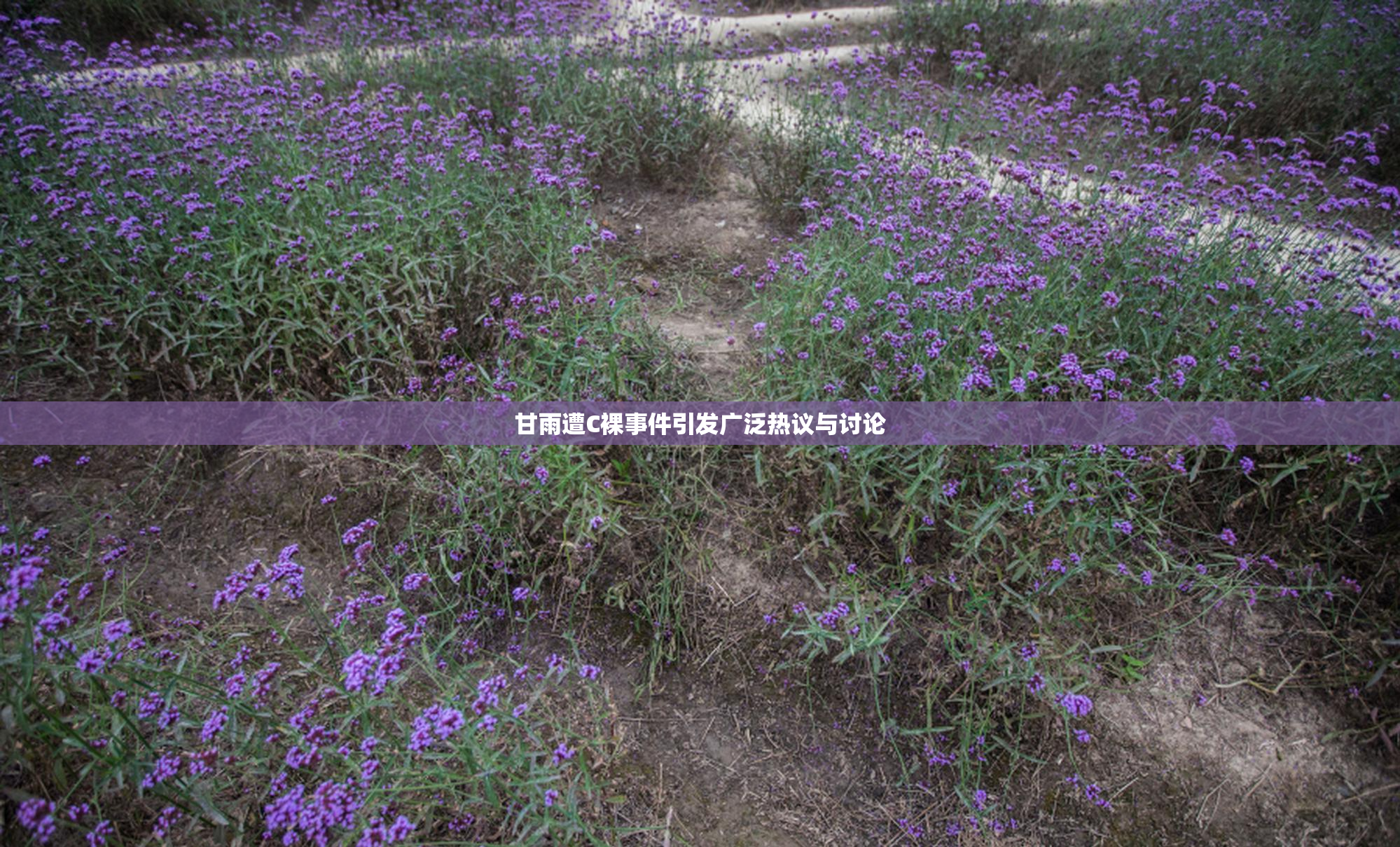 甘雨遭C裸事件引发广泛热议与讨论