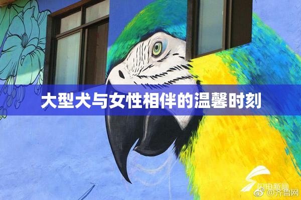 大型犬与女性相伴的温馨时刻