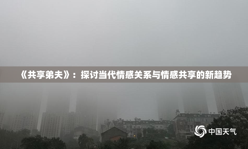 《共享弟夫》：探讨当代情感关系与情感共享的新趋势