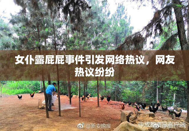 女仆露屁屁事件引发网络热议，网友热议纷纷