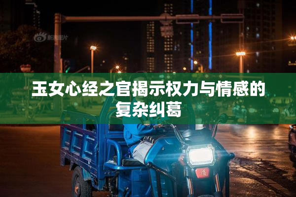 玉女心经之官揭示权力与情感的复杂纠葛
