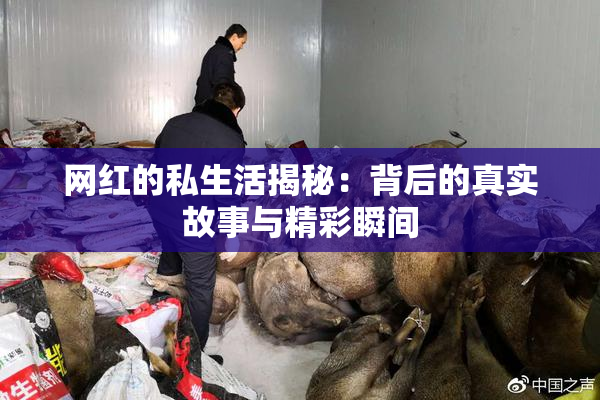 网红的私生活揭秘：背后的真实故事与精彩瞬间
