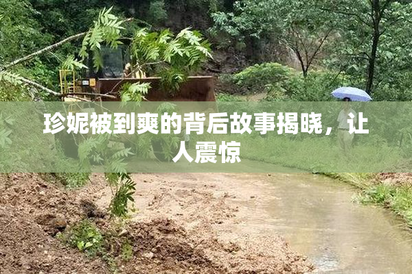 珍妮被到爽的背后故事揭晓，让人震惊