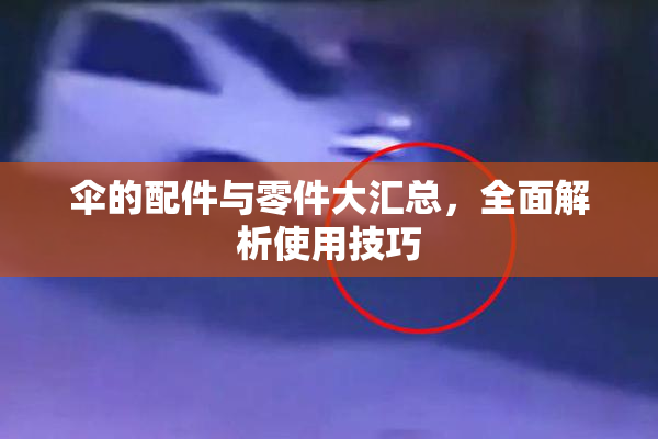 伞的配件与零件大汇总，全面解析使用技巧