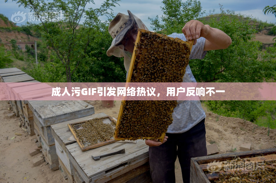 成人污GIF引发网络热议，用户反响不一