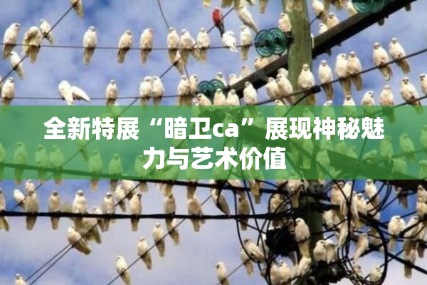全新特展“暗卫ca”展现神秘魅力与艺术价值