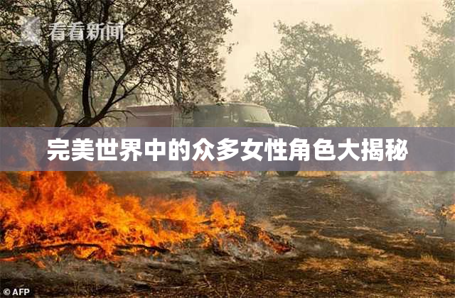 完美世界中的众多女性角色大揭秘