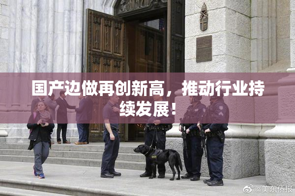 国产边做再创新高，推动行业持续发展！