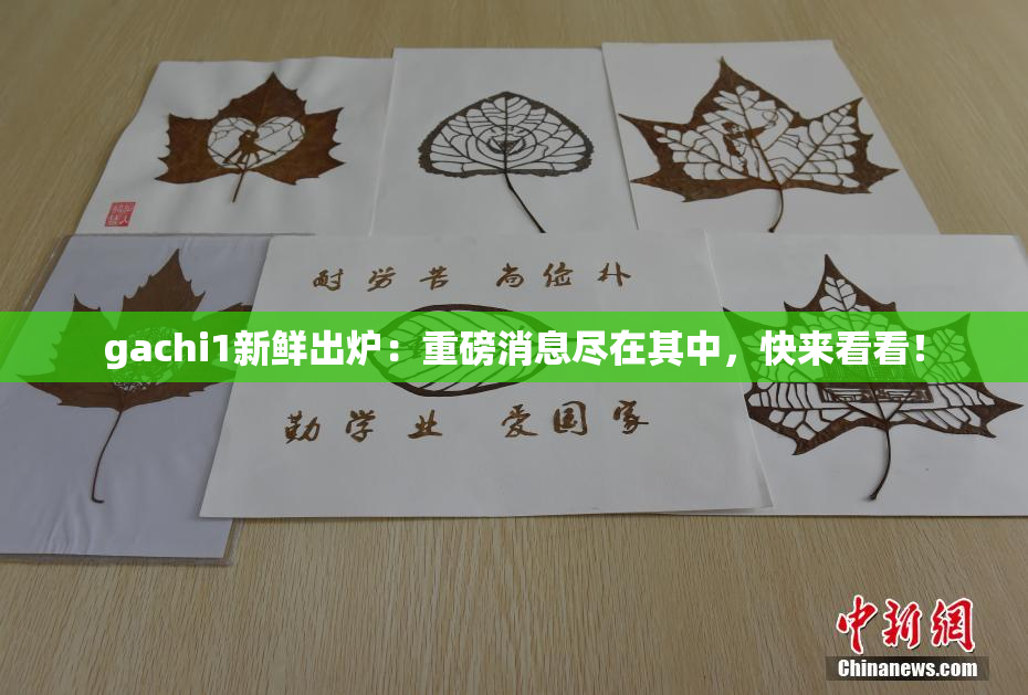 gachi1新鲜出炉：重磅消息尽在其中，快来看看！