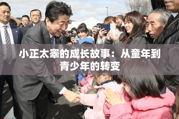 小正太睾的成长故事：从童年到青少年的转变