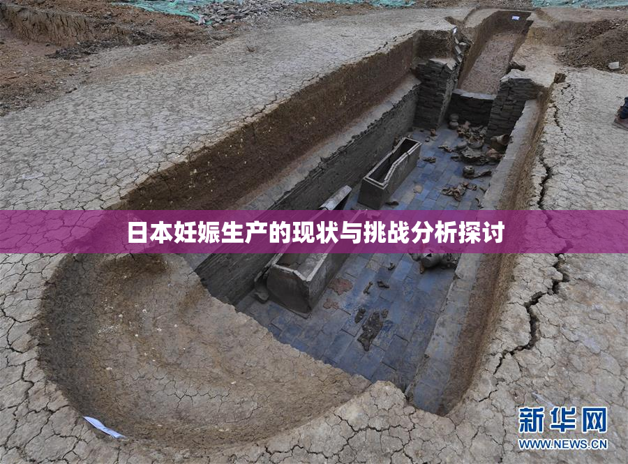 日本妊娠生产的现状与挑战分析探讨