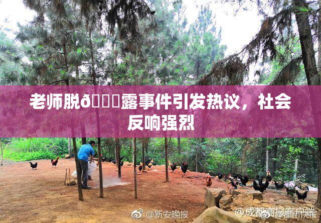 老师脱👙露事件引发热议，社会反响强烈
