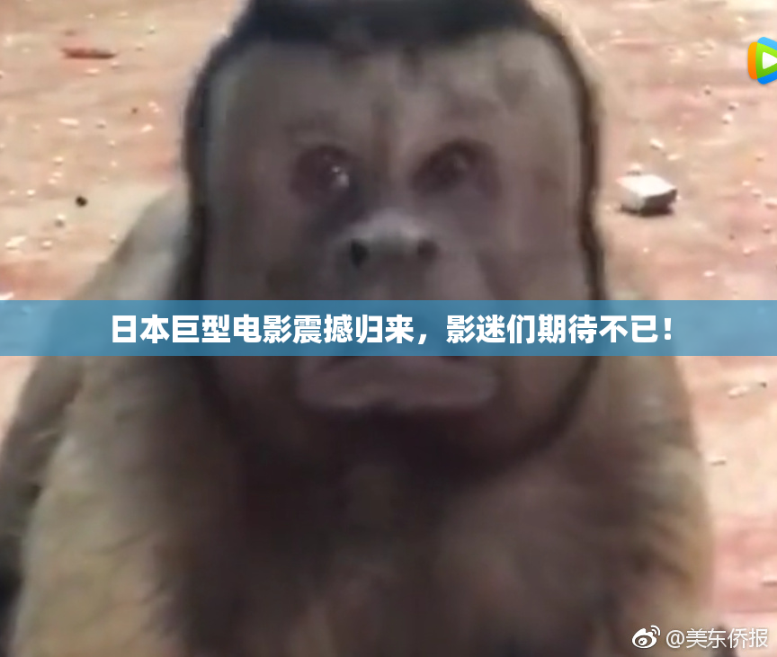 日本巨型电影震撼归来，影迷们期待不已！