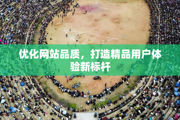 优化网站品质，打造精品用户体验新标杆