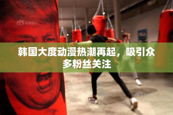 韩国大度动漫热潮再起，吸引众多粉丝关注
