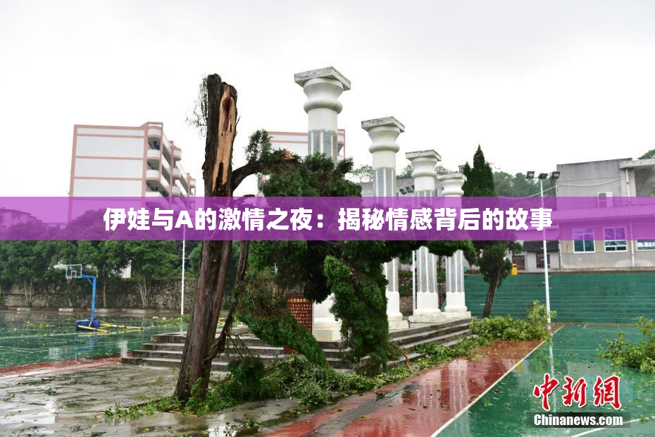 伊娃与A的激情之夜：揭秘情感背后的故事