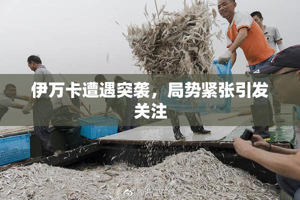 伊万卡遭遇突袭，局势紧张引发关注