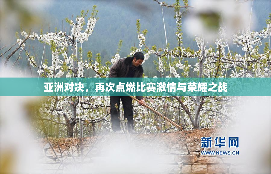 亚洲对决，再次点燃比赛激情与荣耀之战