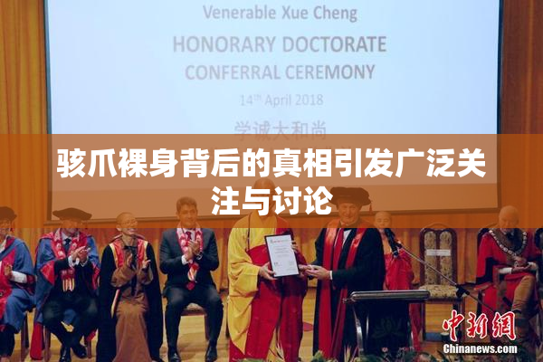 骇爪裸身背后的真相引发广泛关注与讨论