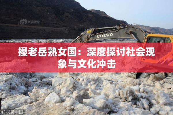 搡老岳熟女国：深度探讨社会现象与文化冲击