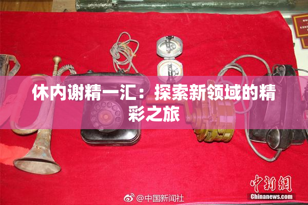 休内谢精一汇：探索新领域的精彩之旅