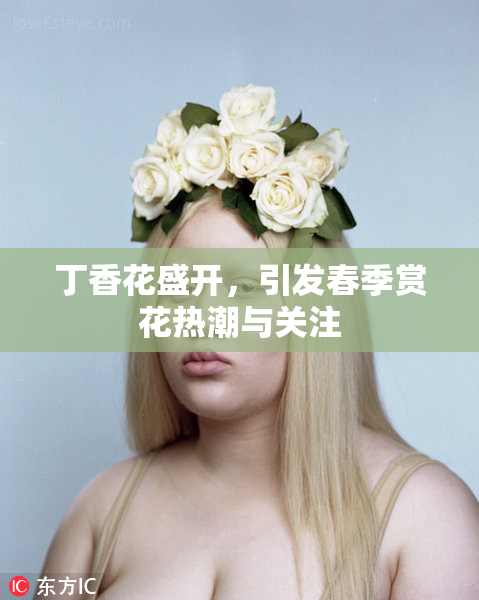丁香花盛开，引发春季赏花热潮与关注