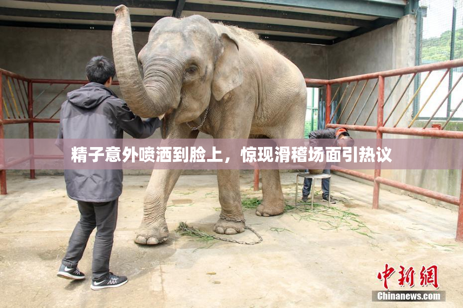 精子意外喷洒到脸上，惊现滑稽场面引热议