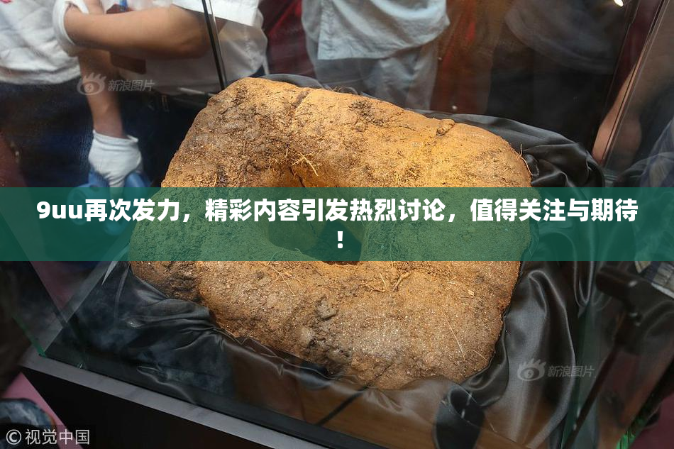 9uu再次发力，精彩内容引发热烈讨论，值得关注与期待！