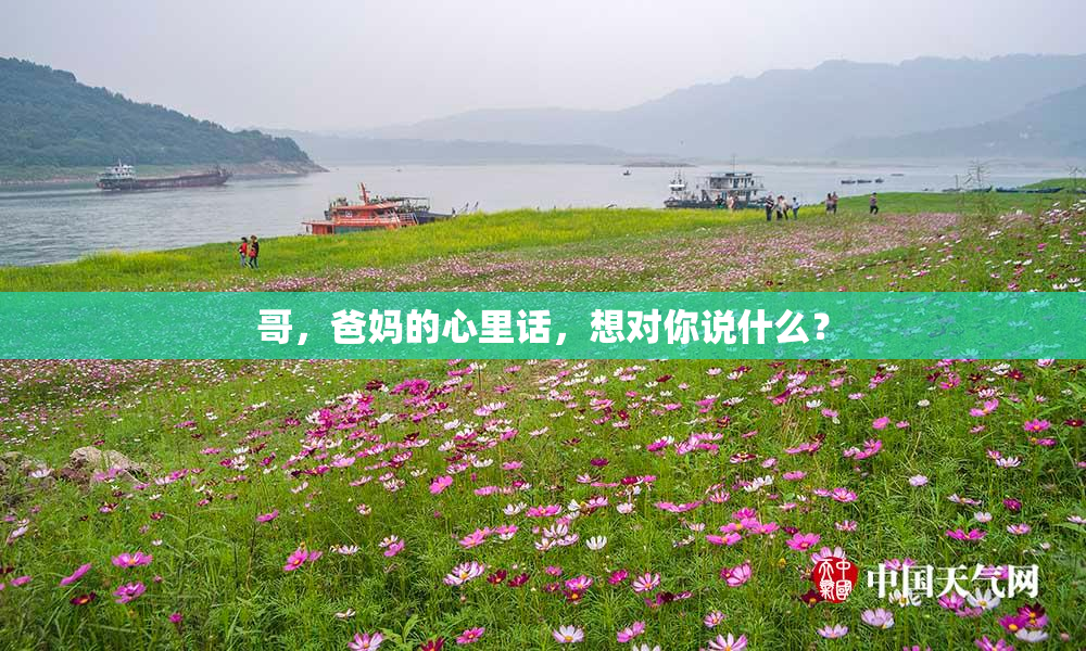 哥，爸妈的心里话，想对你说什么？