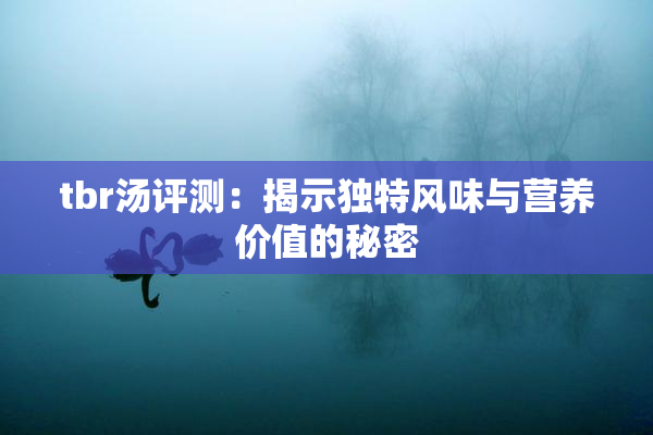 tbr汤评测：揭示独特风味与营养价值的秘密