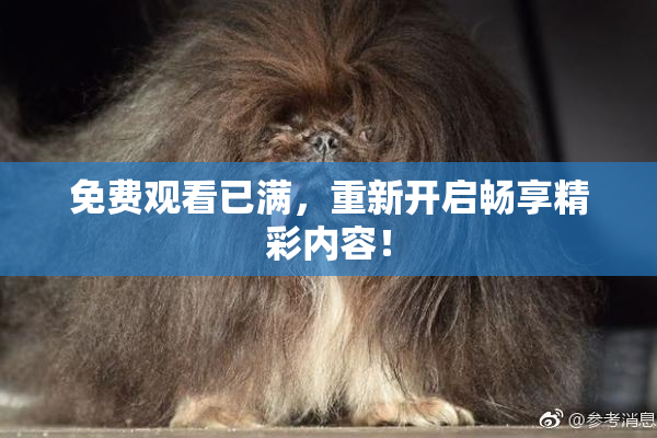 免费观看已满，重新开启畅享精彩内容！