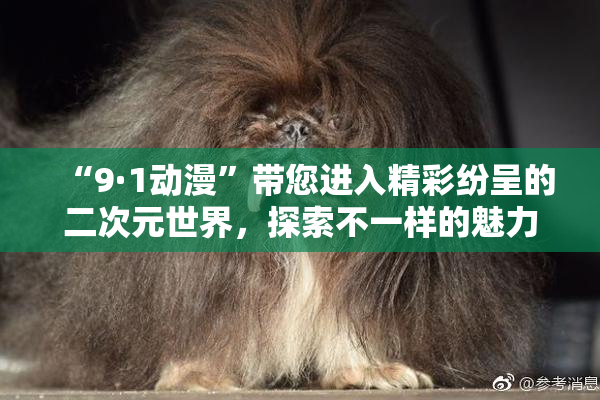 “9·1动漫”带您进入精彩纷呈的二次元世界，探索不一样的魅力