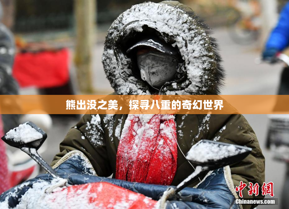 熊出没之美，探寻八重的奇幻世界